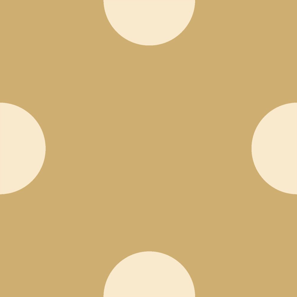 21881-LN-D-V2